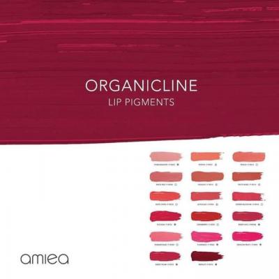 Fb img 1613932493269 1